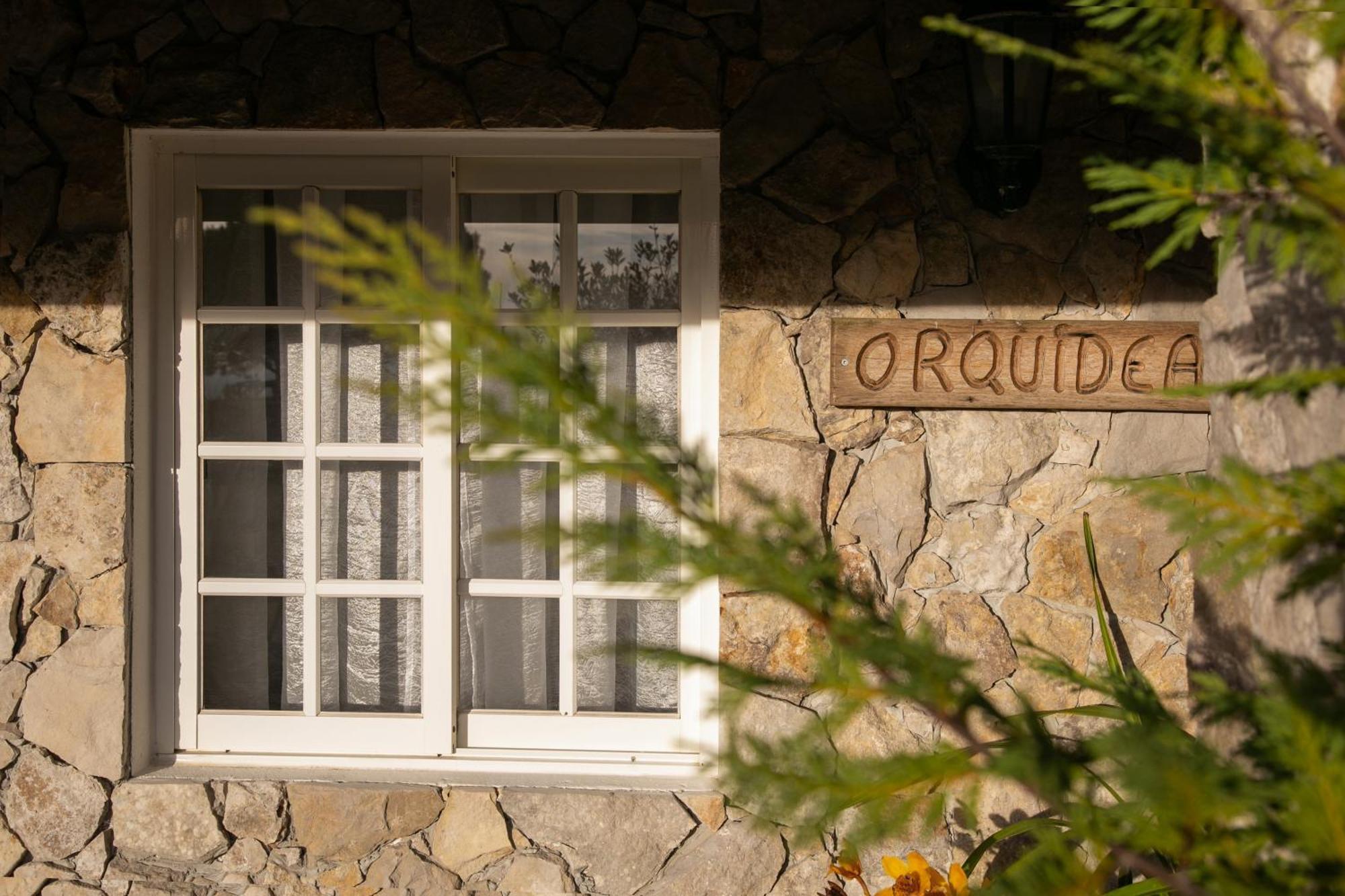 Casas Da Gralha Bed & Breakfast Turquel Oda fotoğraf